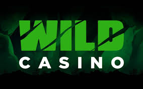 Wild Joker Casino Site Evaluation